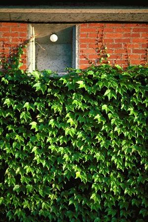 埼玉一戸建て住宅ナンバーワン実績の会社