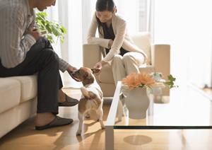 クレバリーホーム湘南店 – あなたの夢の家を実現する注文住宅の専門店