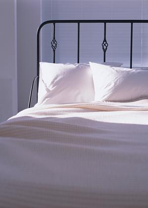 造園して質の高い家にしましょう